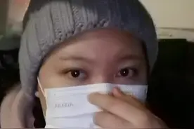 带宠物猫坐长途车要注意什么？图片