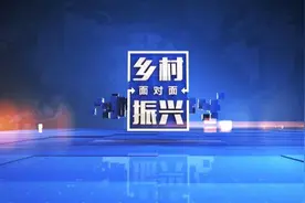 《乡村振兴面对面》春节特别节目预告图片