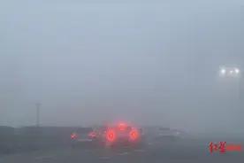 大年初一 因大雾天气成乐、乐雅、乐自等高速部分收费站交通管制图片