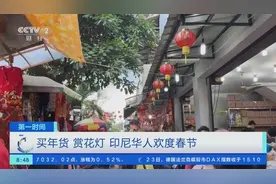 买年货、赏花灯…印尼华人欢度春节！年货市场年味儿足→图片