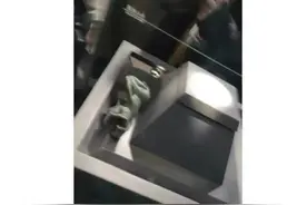 三星堆游客推搡致商代青铜器掉落？官方回应！图片