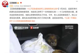 后备箱里爱意满满！儿子回老家探亲带上宠物狗陪伴父亲图片