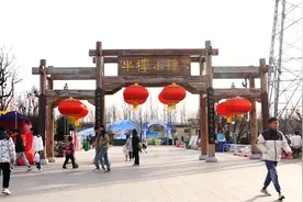 逛庙会赏花灯 兖州牛楼小镇年味浓图片