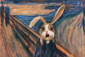 此兔非彼兔，这些兔子不寻常图片