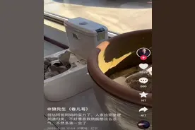 花20多万元到三亚过年遭遇节约型父母，是什么体验图片