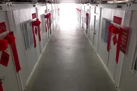 东部战区：演训一线，战斗警报骤然拉响！图片