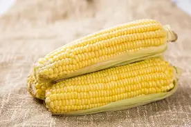 “黄金主食”家家都有，学会6招煮着吃，营养美味更加倍！图片