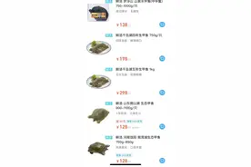 200年的甲鱼？开价2万8，专家一看，不得了！图片