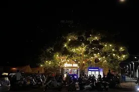 广东陆丰：点亮乡村“夜经济” 共同富裕“添动力”图片