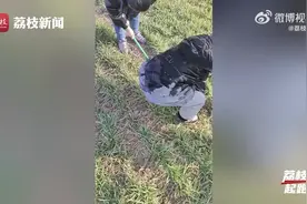 这是啥操作？男童把压岁钱埋进麦地图片