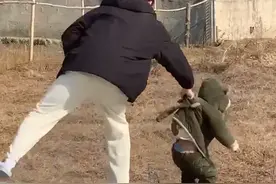 萌娃多次想跳下台阶被薅回，网友：孩子的快乐是跳下去，舅舅的是拉起来图片