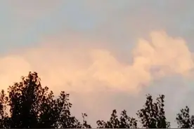 放羊的日子（随笔一）图片