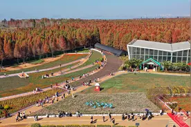 【高清组图】捞鱼河湿地展滇池美丽画卷图片