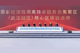 国家检验检测高技术服务业集聚区（武汉园区）核心区项目在武汉经开区启动图片