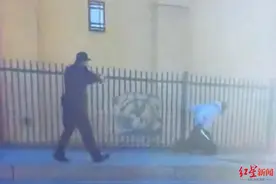 美国警察暴力执法惹争议：连开10枪打死双腿截肢坐轮椅的黑人男子图片