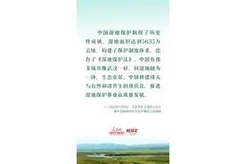 建设人与自然和谐共生的现代化 习近平强调推进湿地保护工作图片