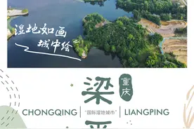 （图表·海报）［新华全媒+］湿地如画城中绘——重庆梁平图片