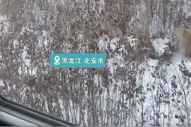 泪目！老人火车道旁目送外孙女返程 外孙女：这样的送行已多次图片