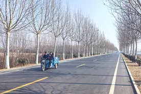 肥城市：抱团发展，激发乡村振兴发展新动能图片