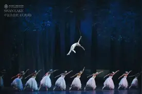 杂技芭蕾剧《天鹅湖》今晚在厦演绎新式浪漫图片