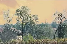 往事如烟,我的百岁奶奶再不能与我对话了图片