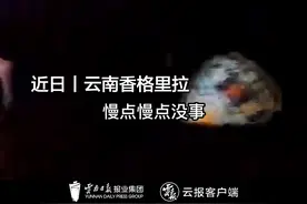 女孩突然晕倒 云南民警6分钟紧急送医图片