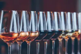 读懂进口葡萄酒的酒标图片