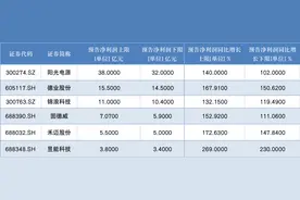 逆变器行业冲浪2022：业绩普遍翻倍，新增长点就绪图片