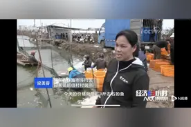 有村民靠它三个月赚几十万！央视解读白蕉海鲈火爆的背后故事图片