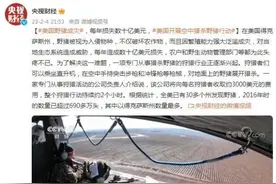 野猪成灾，每年损失数十亿美元，美国开展空中猎杀野猪行动图片