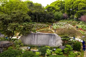 非花期免费开放，东湖牡丹园明日起四季开园图片