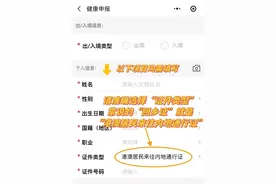 搞不懂海关旅客指尖服务？手把手教你如何填报图片