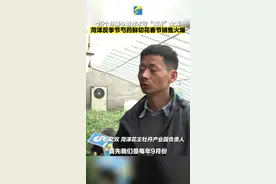 15个月精心培育才可“飘香”全国 菏泽反季节芍药鲜切花春节销售火爆图片