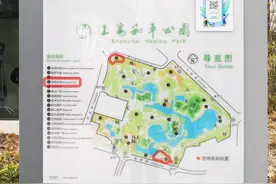 宠物犬能否进公园之争：一个“折中”解决办法在上海走热图片