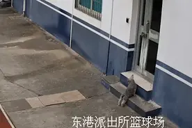 狗狗两次到派出所“报案”！网友：好聪明的汪汪图片