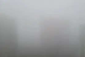 网友体验“伸手不见五指”！广东多地有雾来袭图片