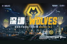 狼队电竞和平精英及FIFA分部落地深圳市南山区图片