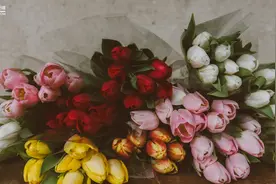 私域复购率高达40%，公众号粉丝超1400万，花加如何布局私域？图片