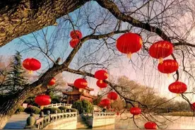 太方便了！家门口乘坐景区畅游专线去“小泉城”免费撸羊毛图片