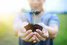 上海市首批10家新型技师学院名单公布图片