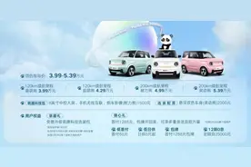3.99万元起！微型电车吉利熊猫mini正式上市图片