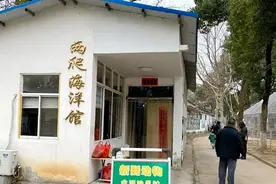 游客买票想看“九斤重大老鼠”却没看到 安庆两爬海洋馆道歉图片