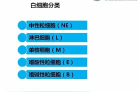 【垂医科普】白细胞增多需警惕图片