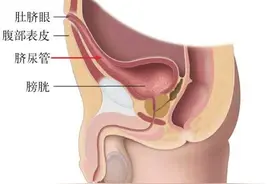 肚脐眼后面通向哪里？图片