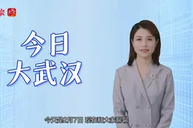 随手拍违停，随手可举报丨主播说今日大武汉图片