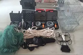 寻宠行业调查：低门槛高要求，找猫找狗近10年，结果发现还是人最难找图片