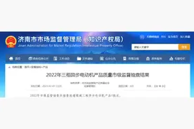 济南市市场监督管理局公布2022年三相异步电动机产品质量市级监督抽查结果图片