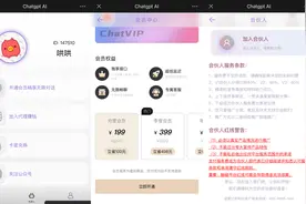 山寨版ChatGPT乱象迭生，对话1300次要99.99元图片