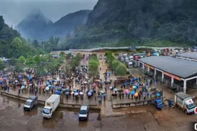 中越边境“千年牛市”交易回暖图片