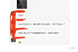 “别跳！”公交司机桥上急停拉手刹，后面追来一群好人图片